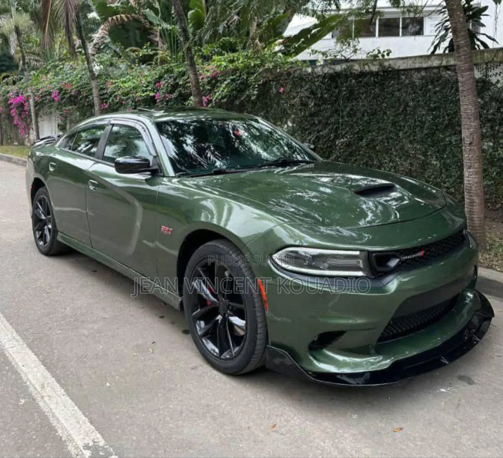 Dodge 600 2019 Vert