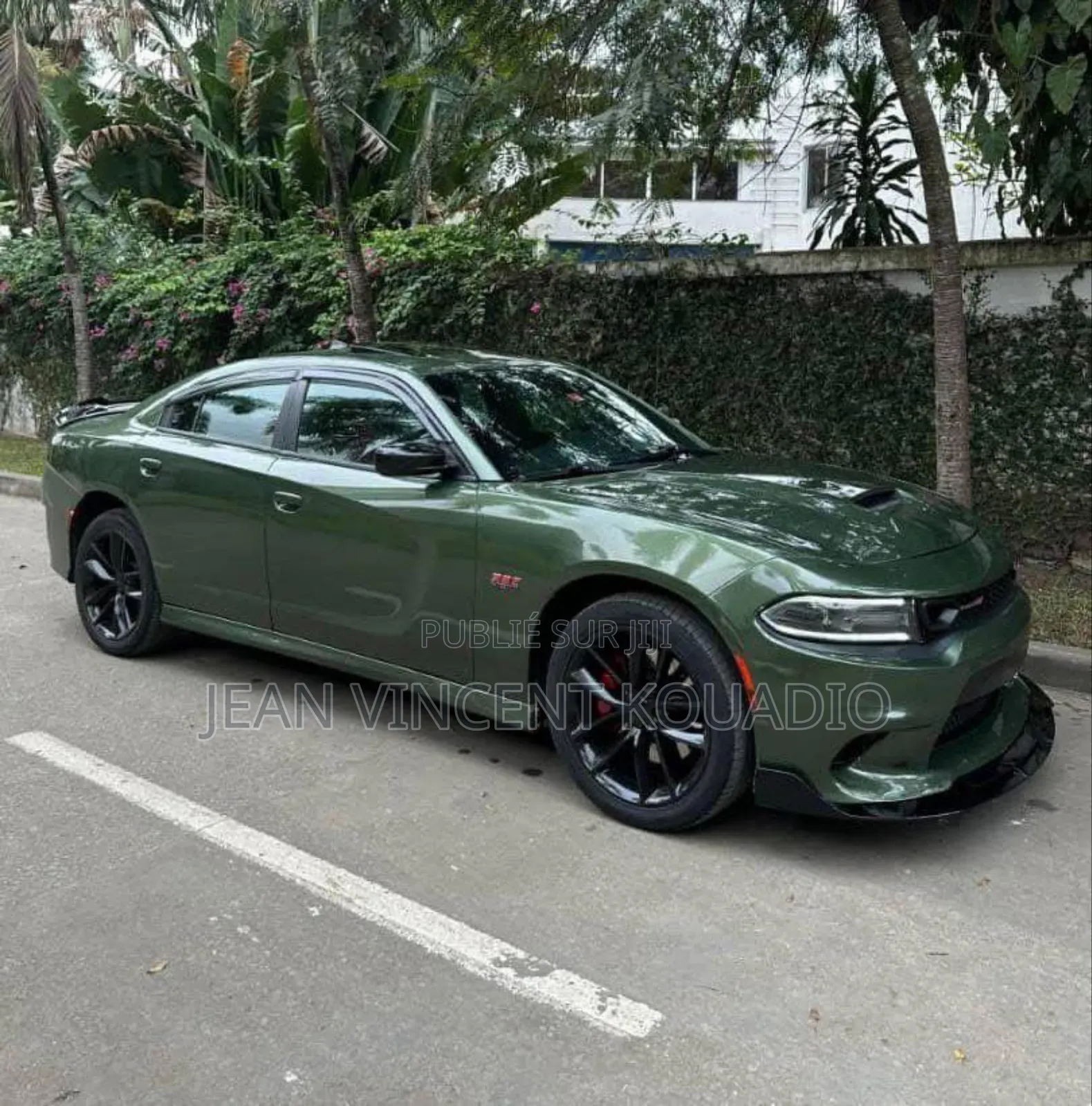Dodge 600 2019 Vert
