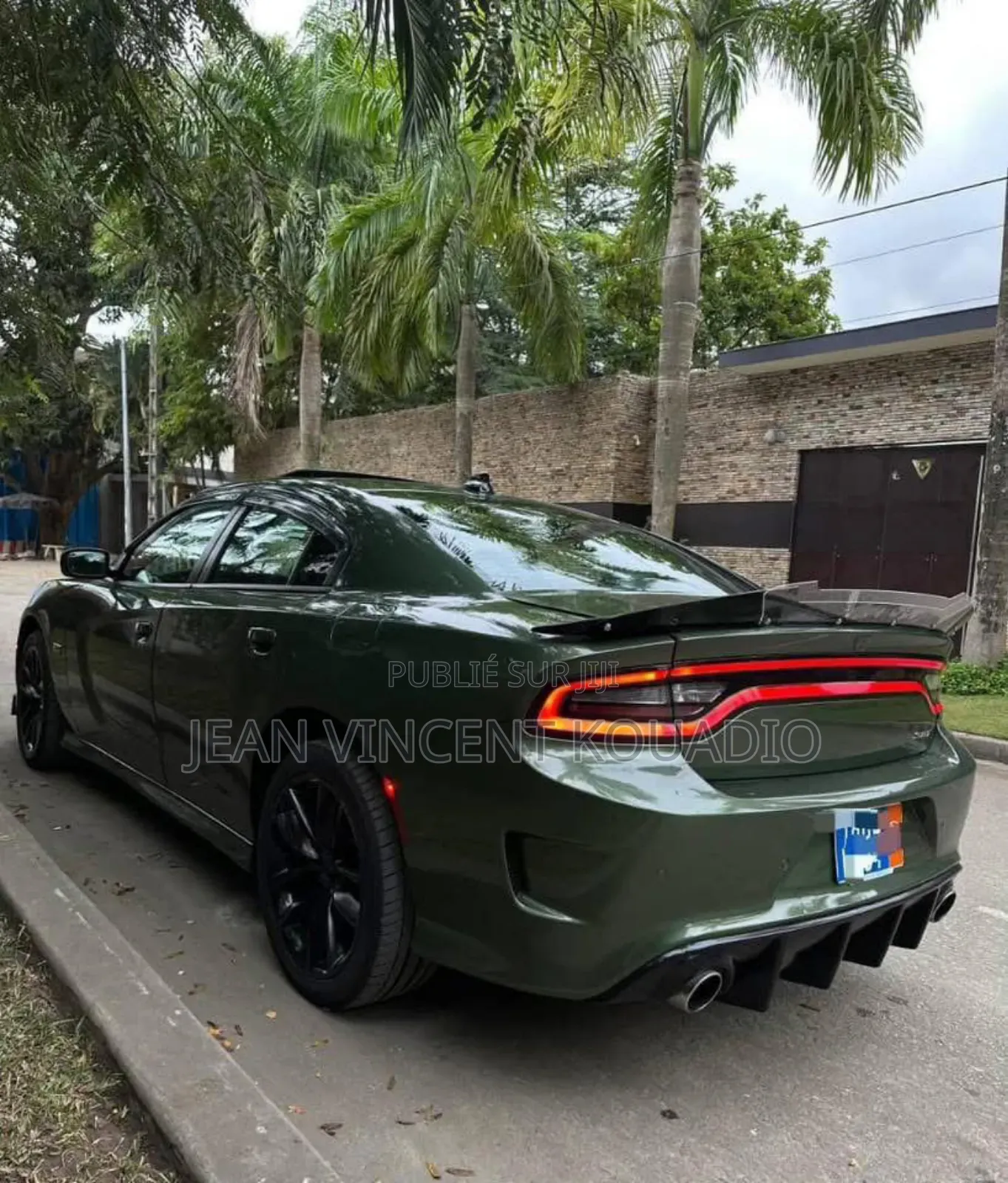 Dodge 600 2019 Vert