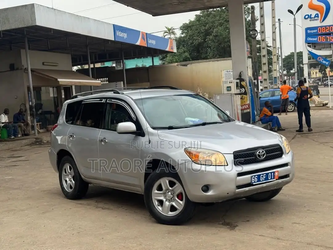 Toyota RAV4 2008 Gris