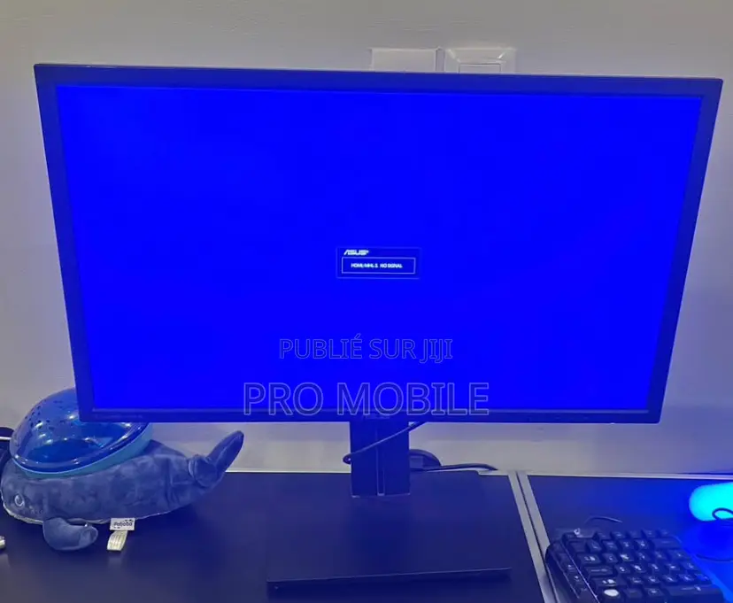 Moniteur D’Ordinateur