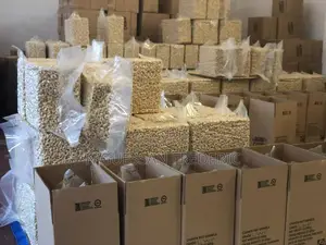 Shelled Cashew Nuts Ww320 Available