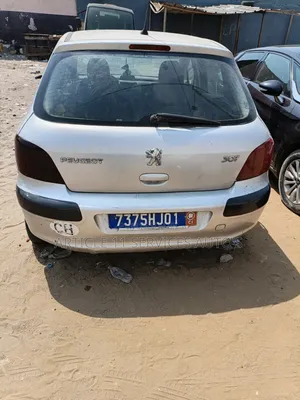 Peugeot 307 1.6 D 2004 Gris