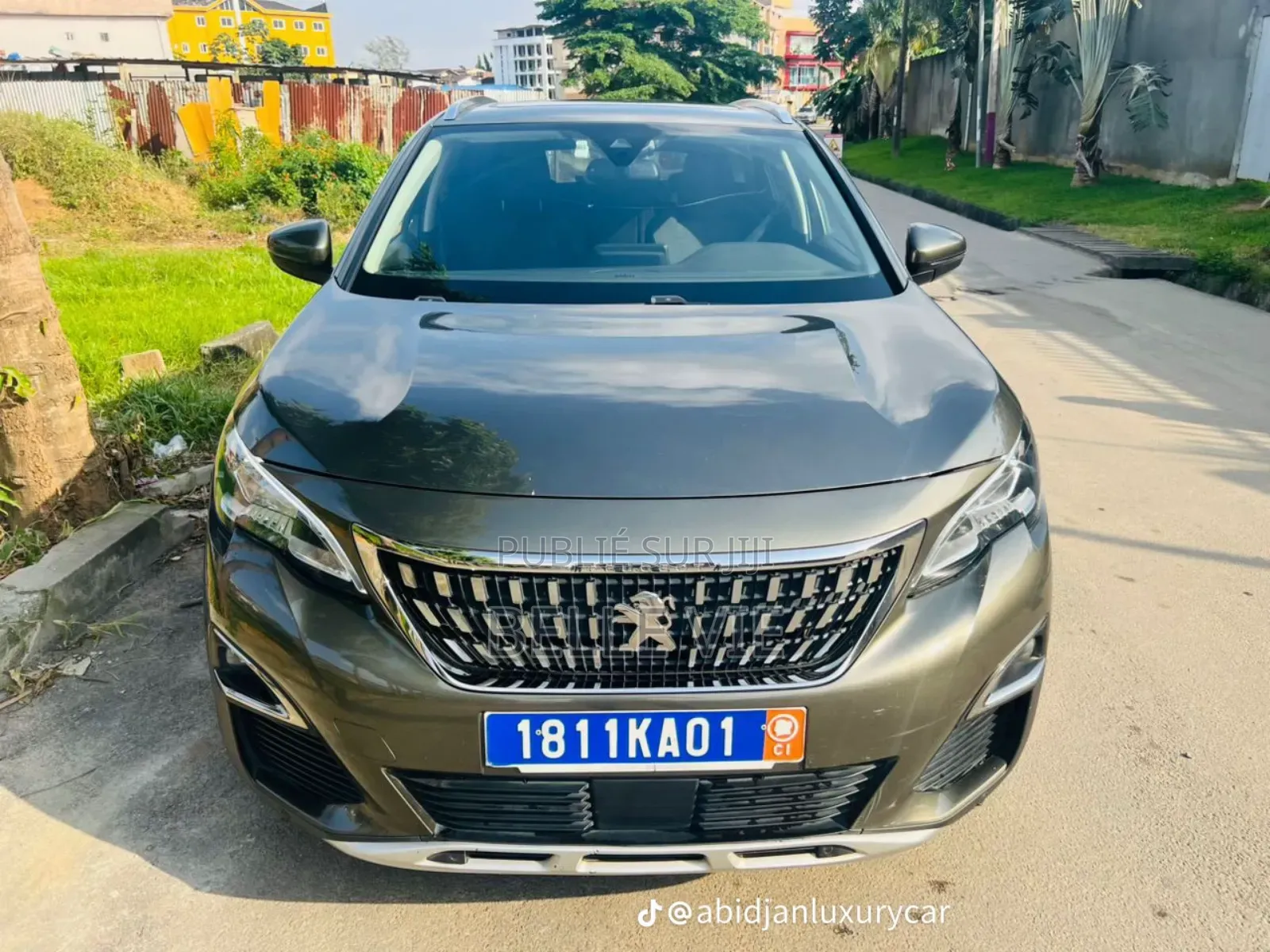 Peugeot 3008 2020 Beige