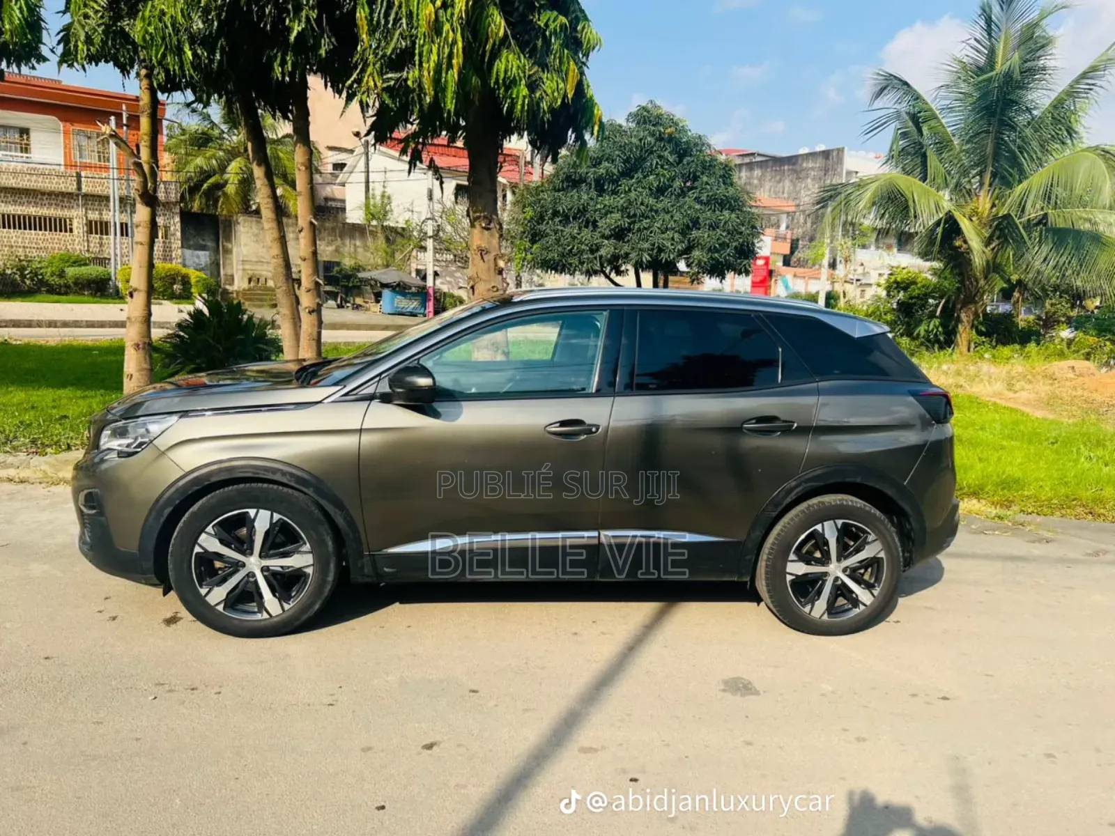 Peugeot 3008 2020 Beige