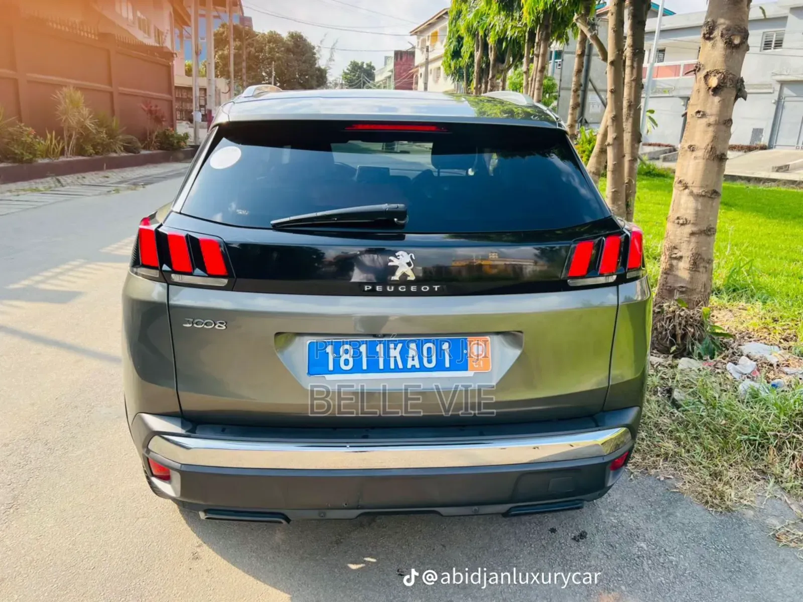 Peugeot 3008 2020 Beige