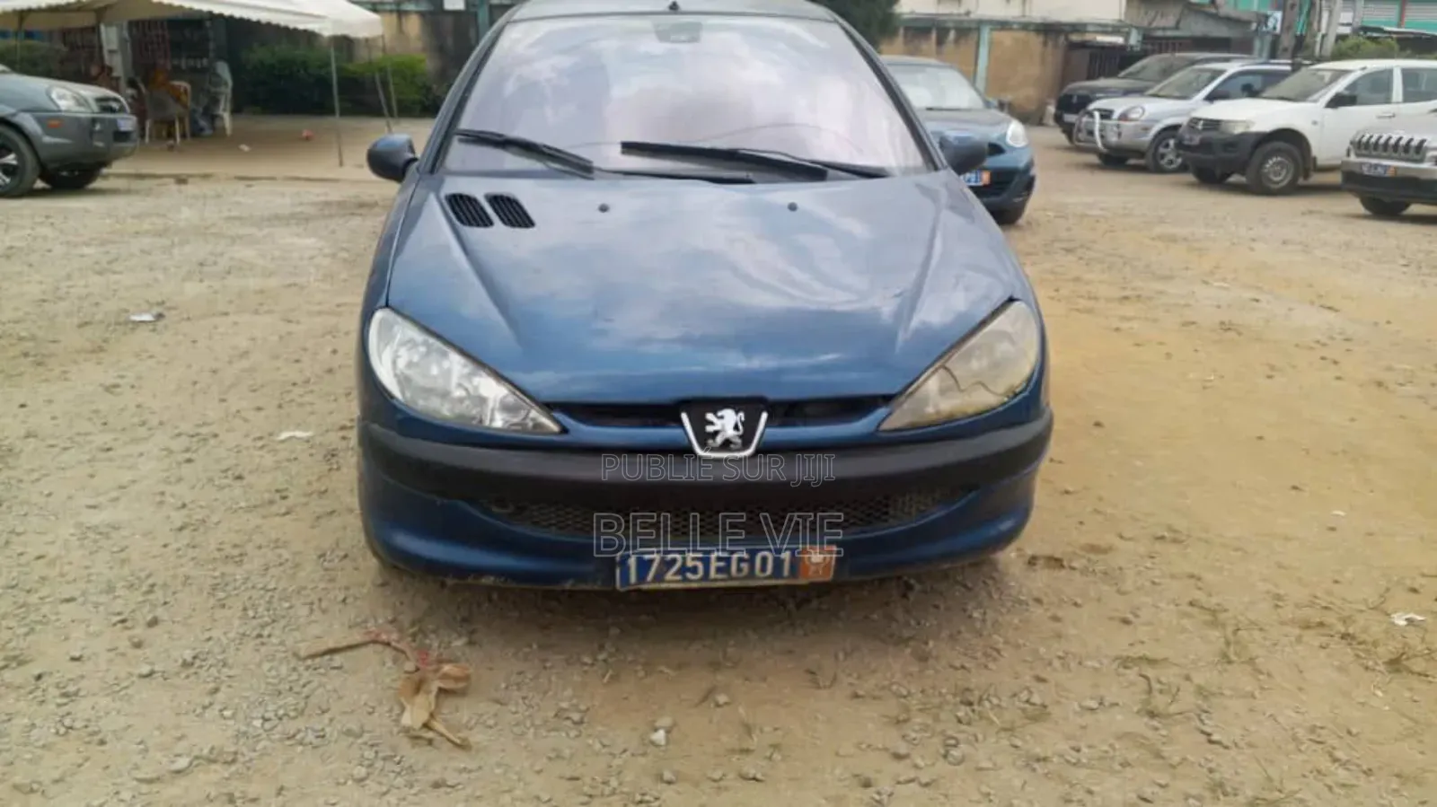 Peugeot 206 2002 Bleu