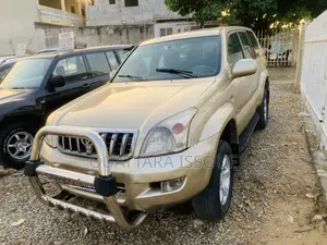 Toyota Land Cruiser Prado 2.7 i 2010 Gris