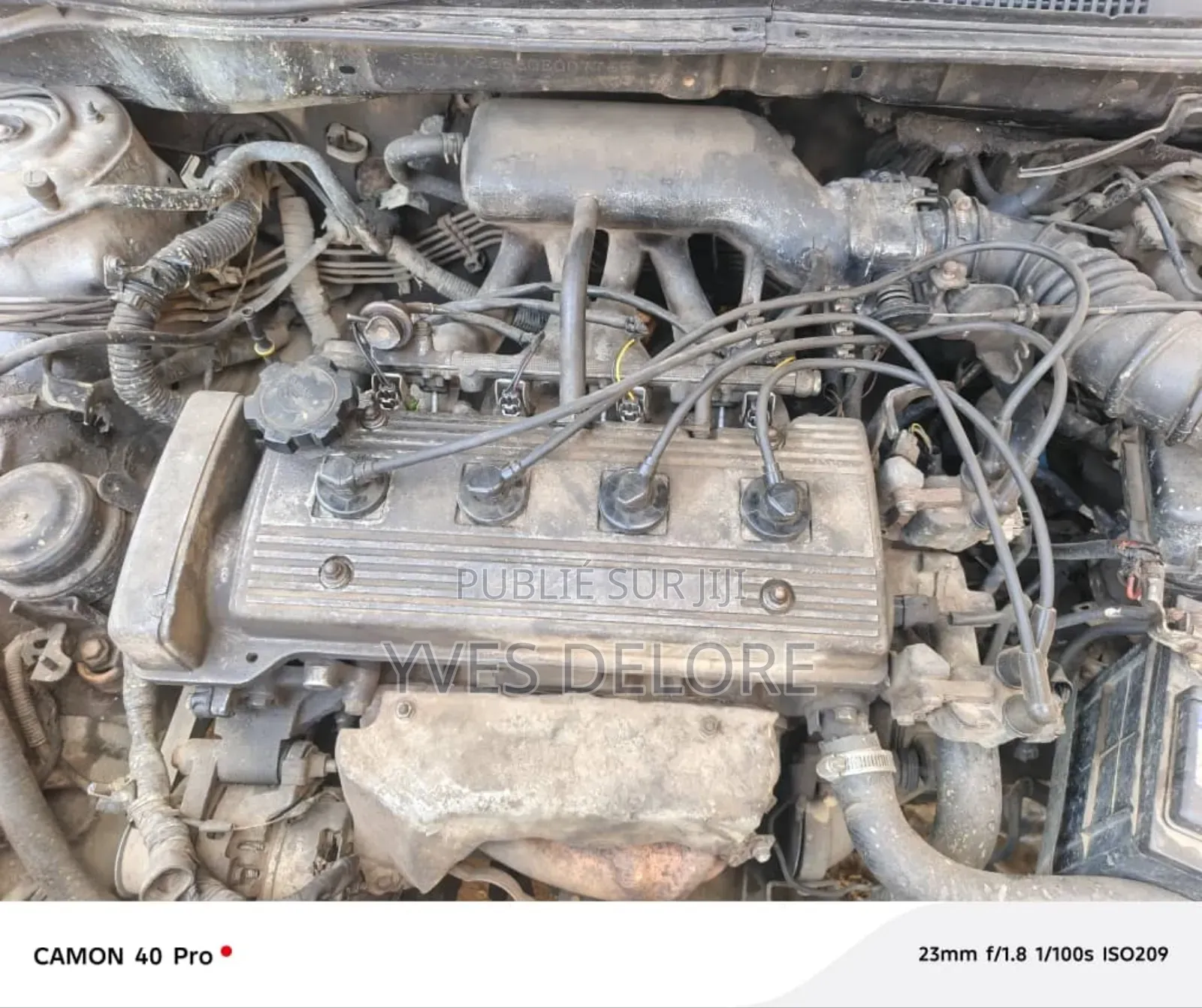 Toyota Corolla 2006 Gris