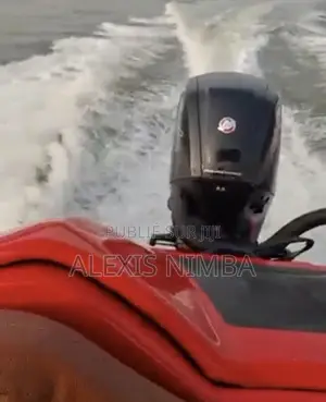 Bateau en Polyester Moteur Mercury 115cv