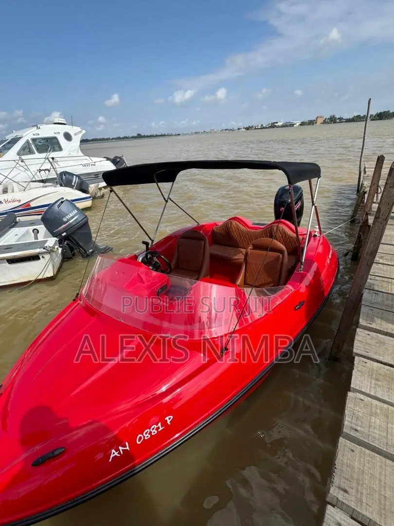 Bateau en Polyester Moteur Mercury 115cv