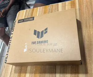 Ordinateur Portable Asus TUF Gaming A16 16GB AMD Ryzen 7 SSD 512GB