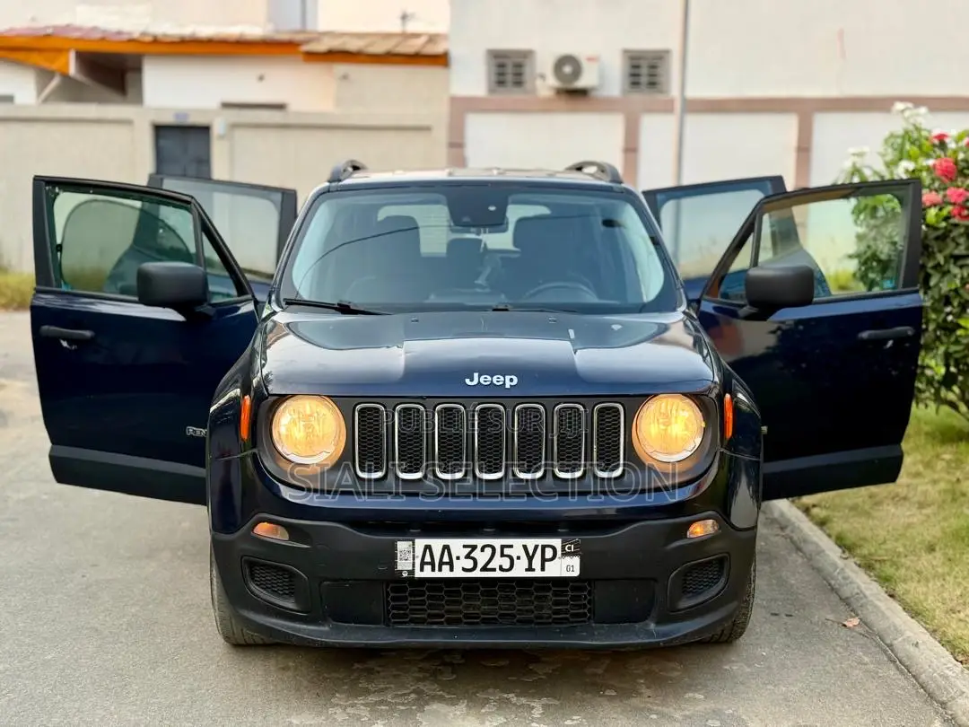 Jeep Renegade 2017 Black