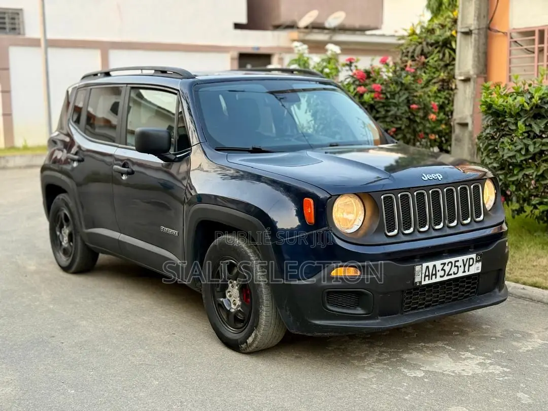 Jeep Renegade 2017 Black