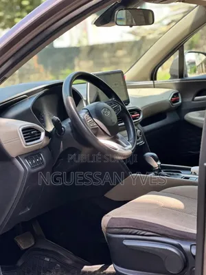 Hyundai Santa Fe 2020 Autre