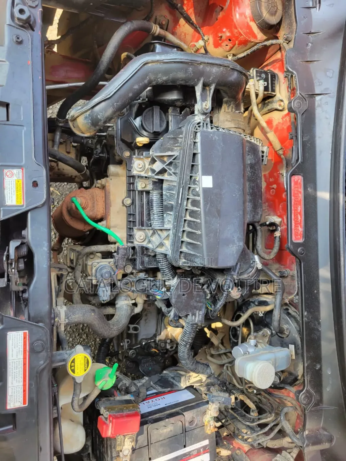 Suzuki Celerio 2025 Bordeaux