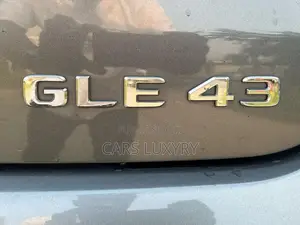 Mercedes-Benz GLE-Class AMG GLE 43 4MATIC 2019 Gris