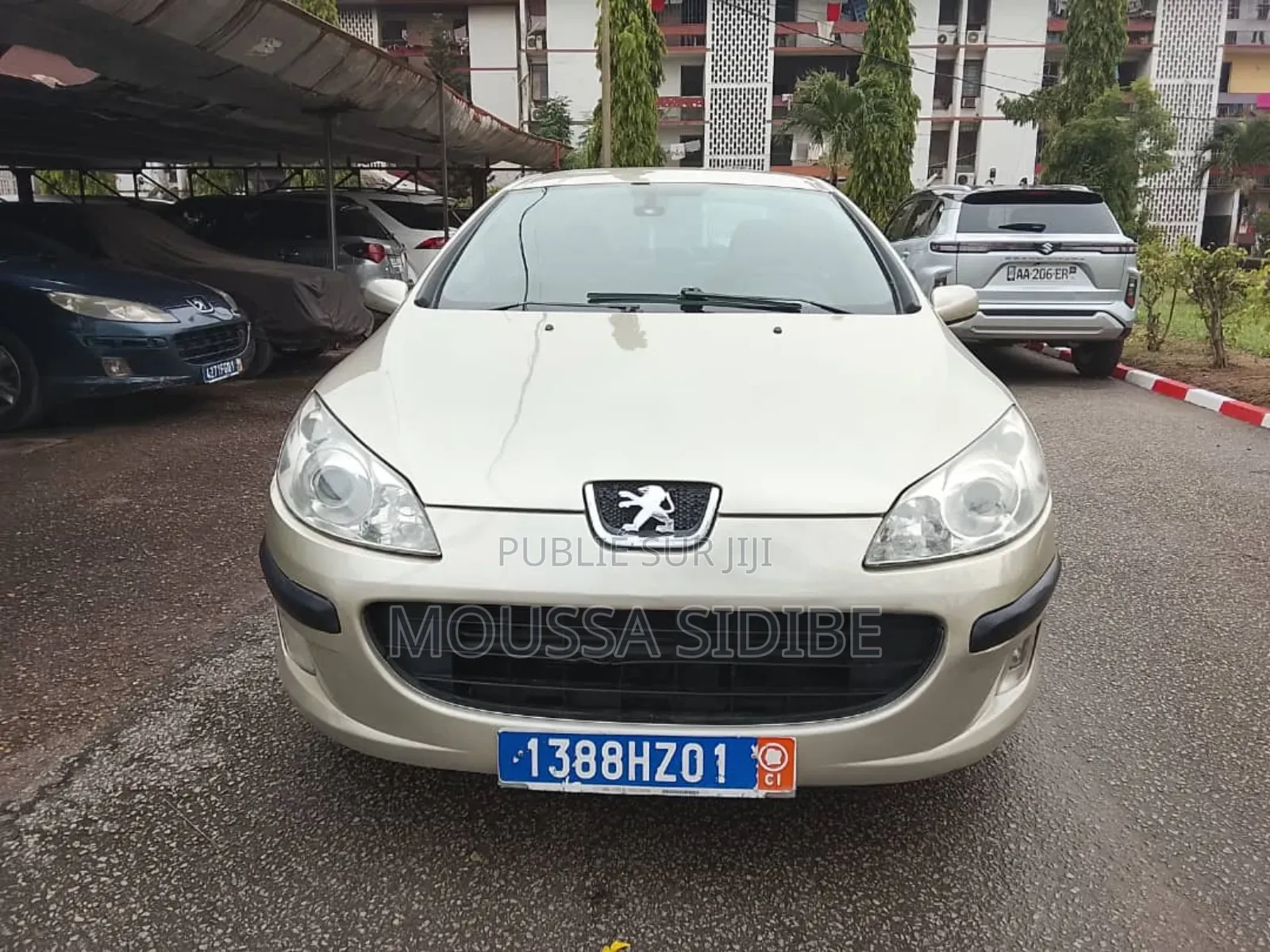 Peugeot 407 2002 Gris