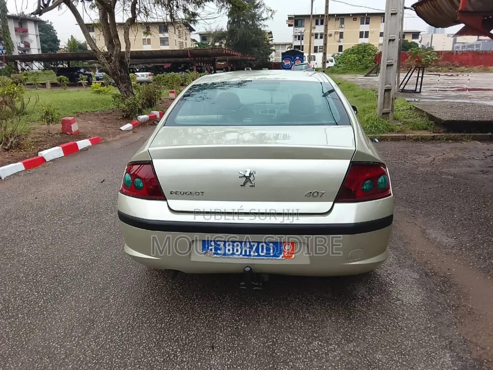 Peugeot 407 2002 Gris
