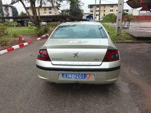 Peugeot 407 2002 Gris