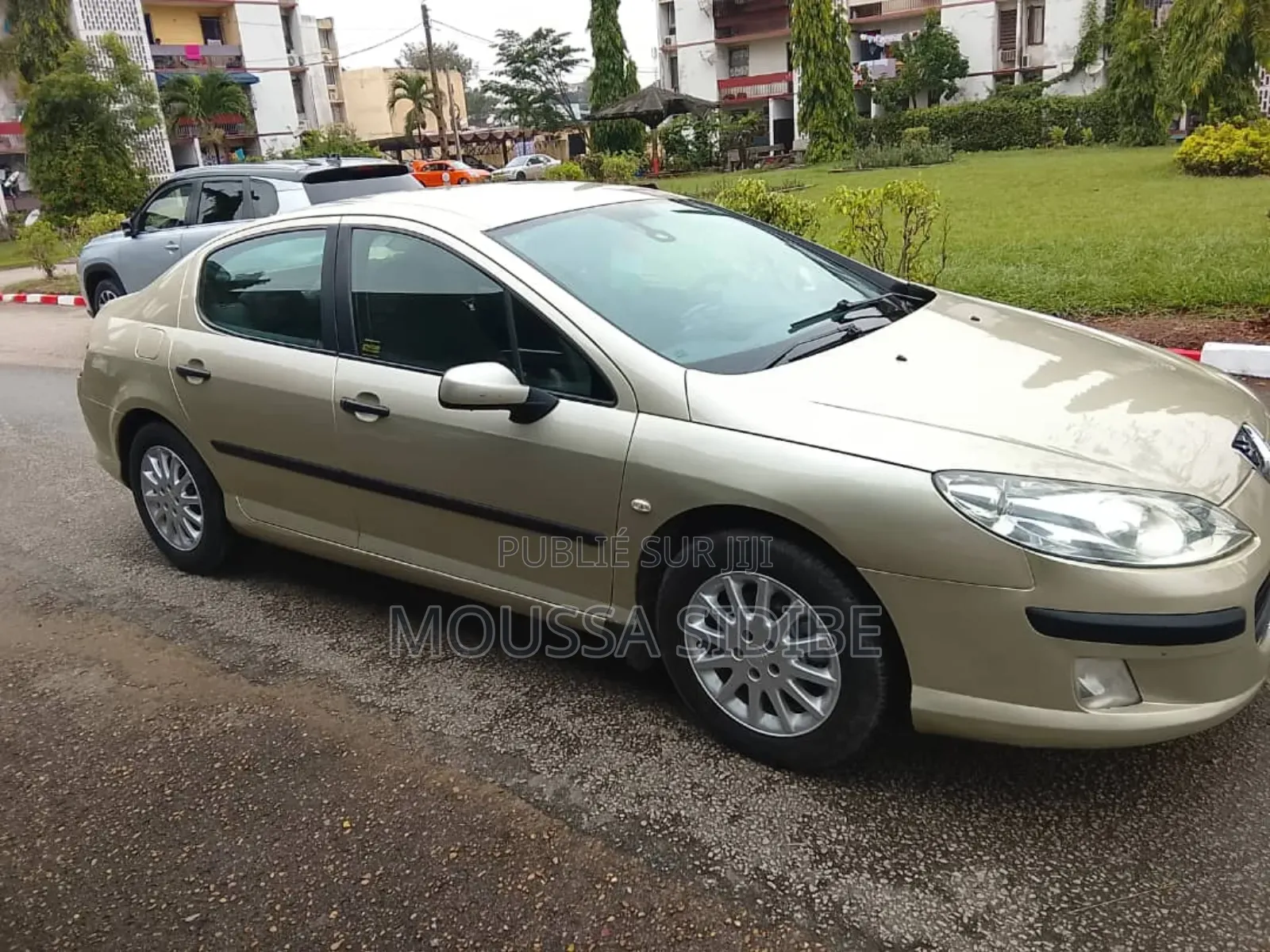 Peugeot 407 2002 Gris