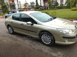 Peugeot 407 2002 Gris