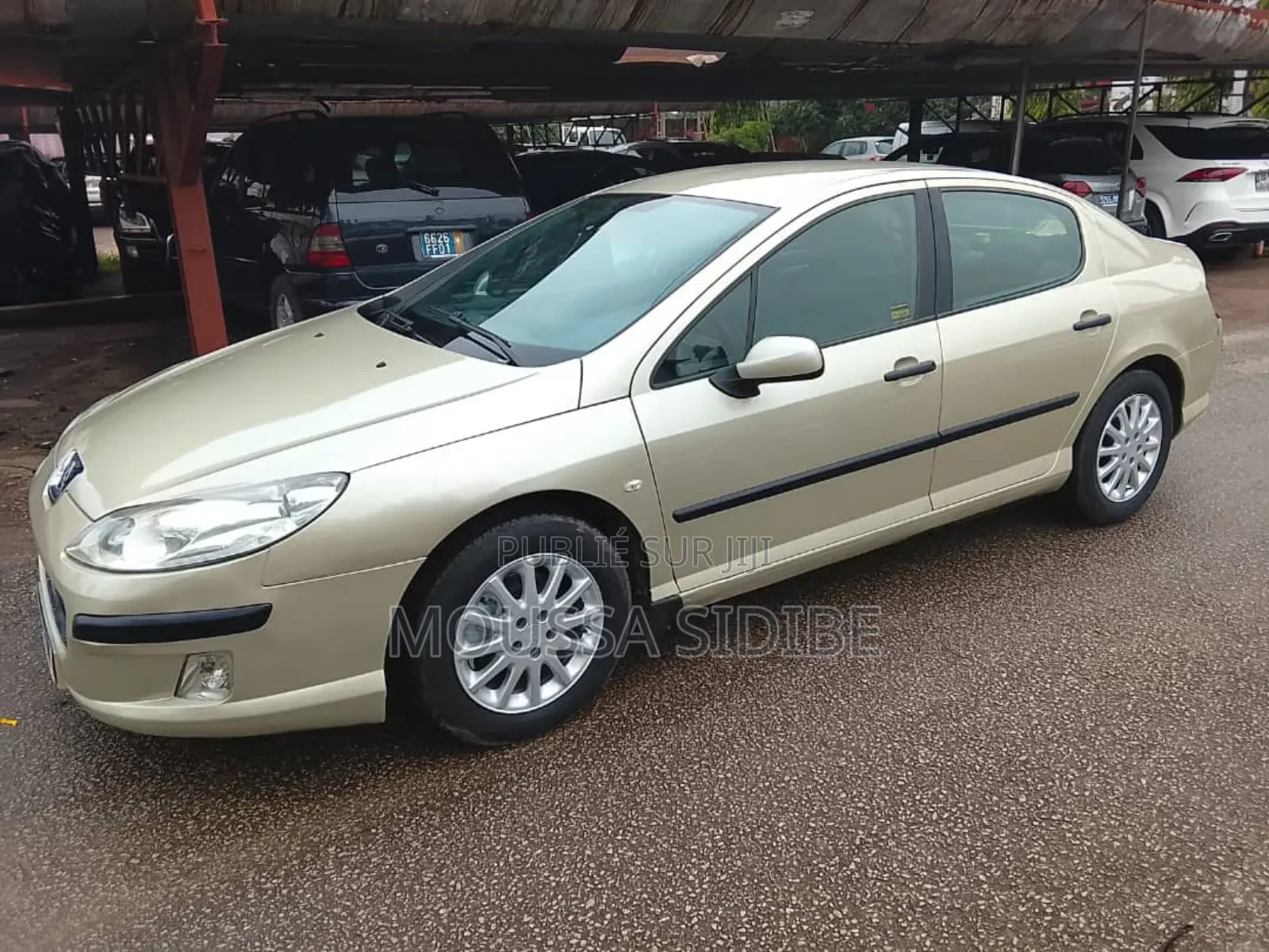 Peugeot 407 2002 Gris