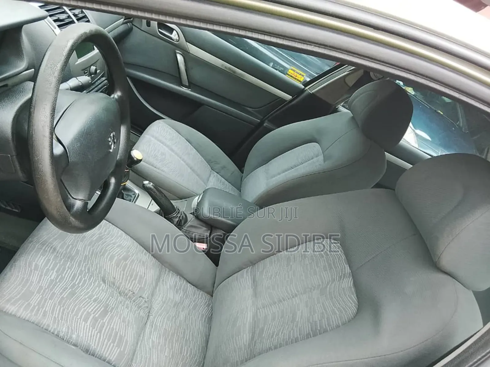 Peugeot 407 2002 Gris