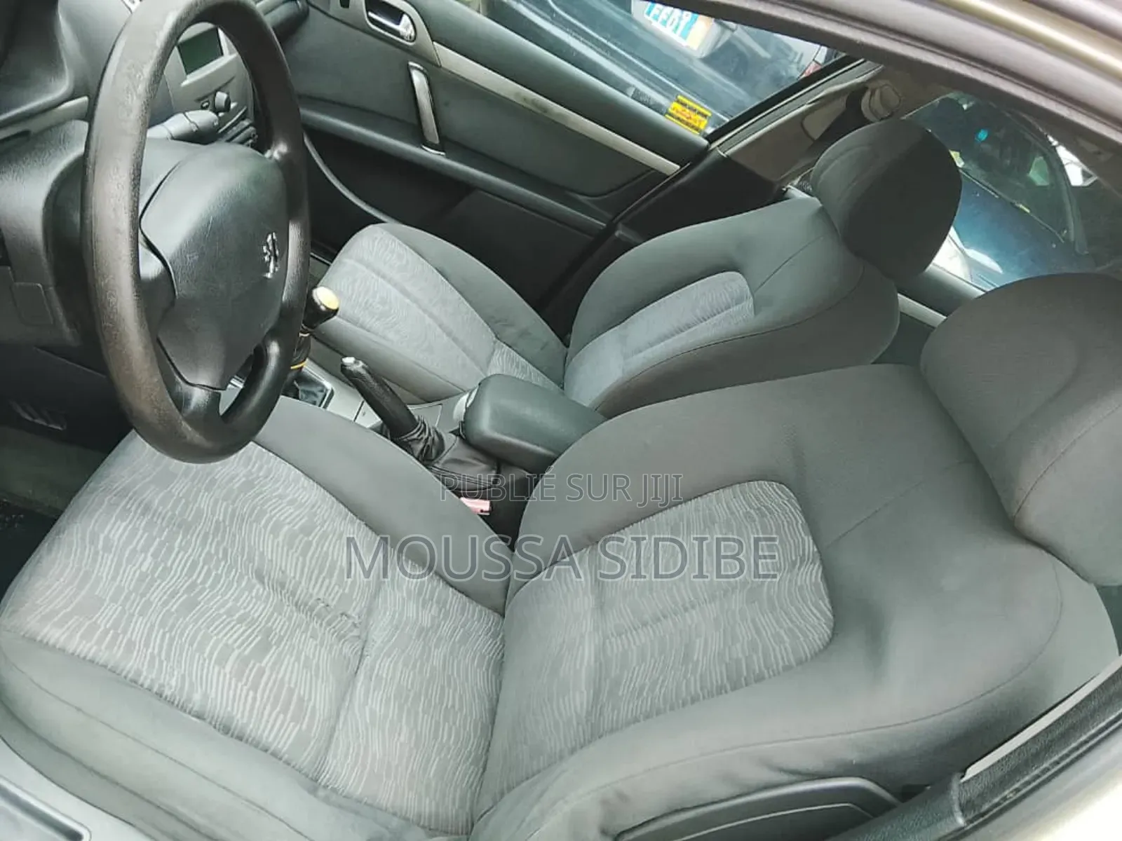 Peugeot 407 2002 Gris