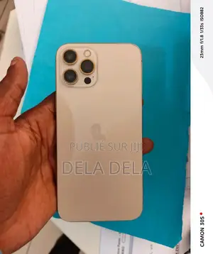 Apple iPhone 12 128 GB Argenté