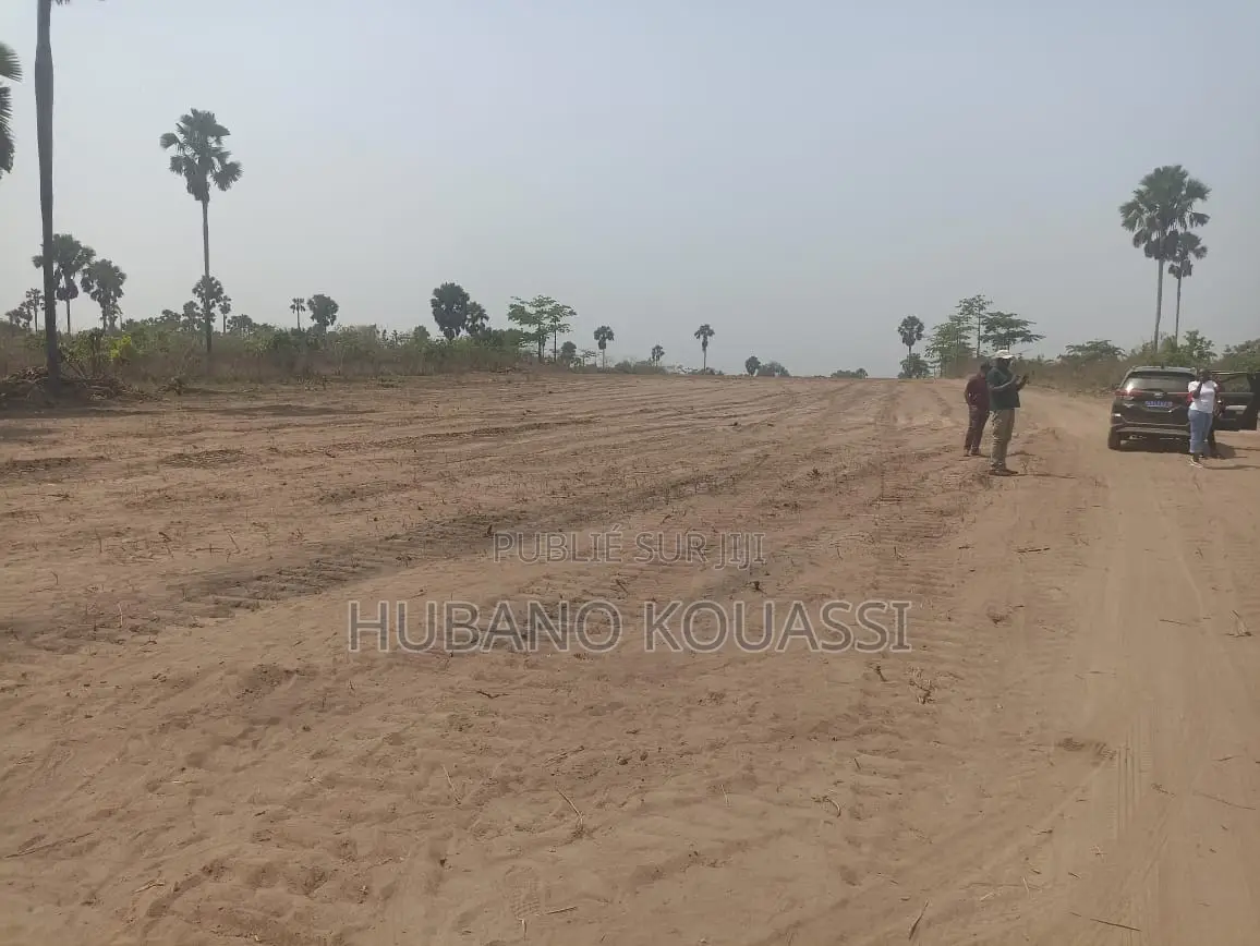 Promo Terrain Yamoussoukro