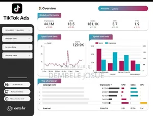 Tiktok Ads Mastery: Le Guide Complet Pour Vendre Tous Les Jours