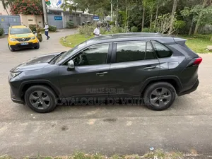 Toyota RAV4 2021 Gris