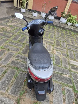 Yamaha Autre 2024 Gris