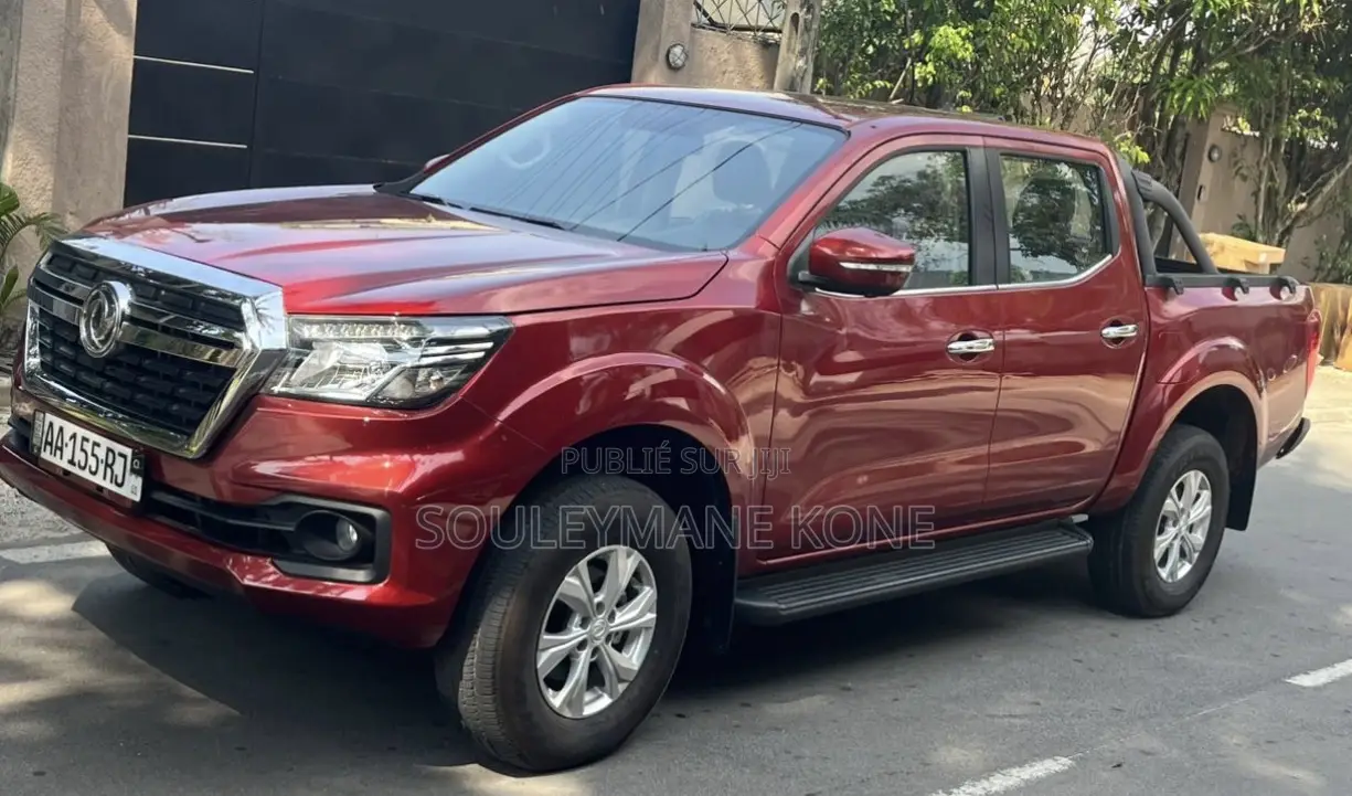 Dongfeng Rich 6 2025 Rouge