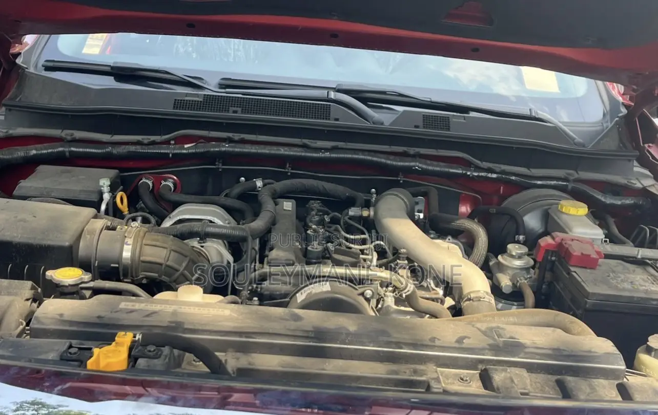 Dongfeng Rich 6 2025 Rouge