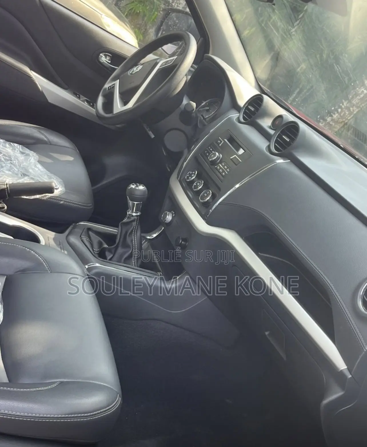 Dongfeng Rich 6 2025 Rouge