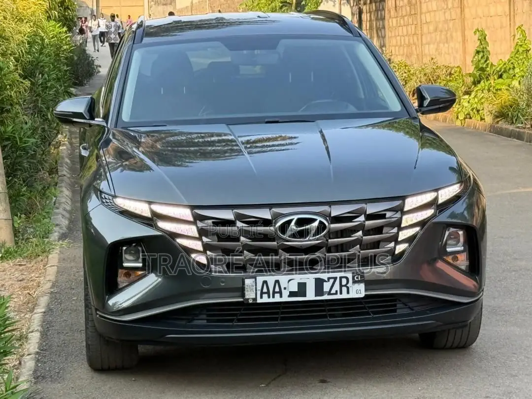 Hyundai Tucson Limited 2023 Gris