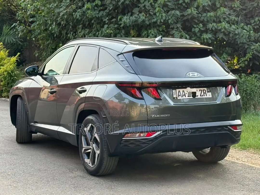 Hyundai Tucson Limited 2023 Gris