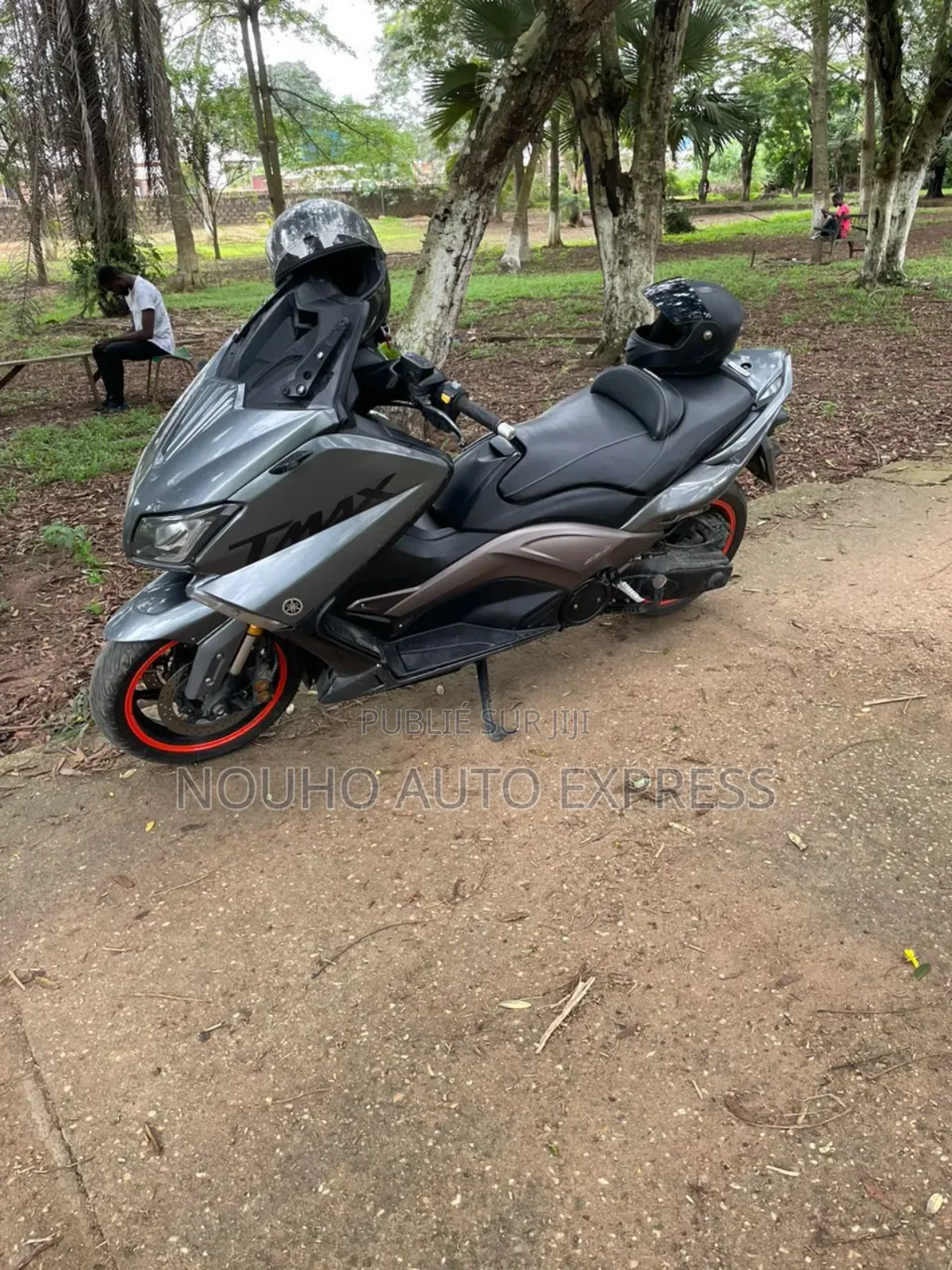 Yamaha Autre 2016 Gris