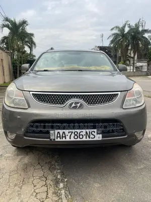 Hyundai Veracruz 2009 Gris