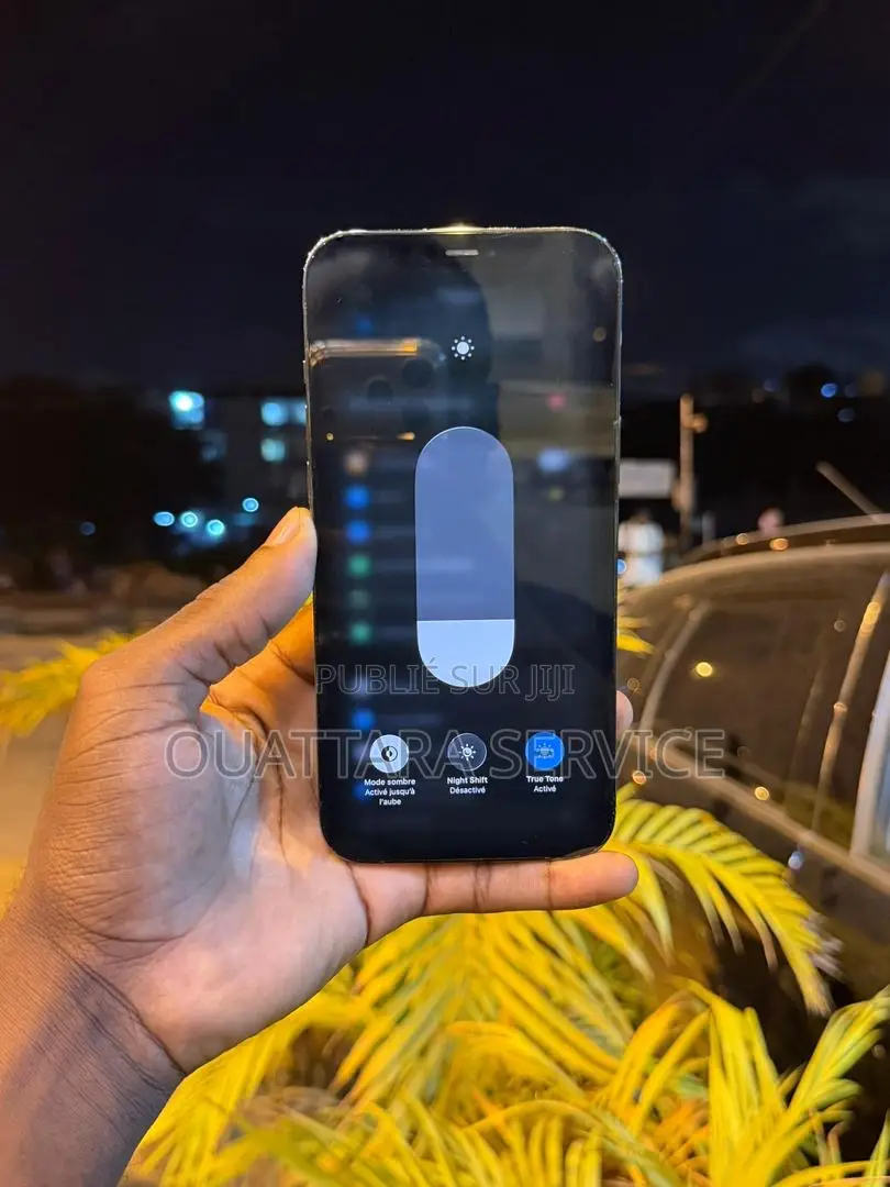 Neuf Apple iPhone 12 Pro Max 128 GB Noir