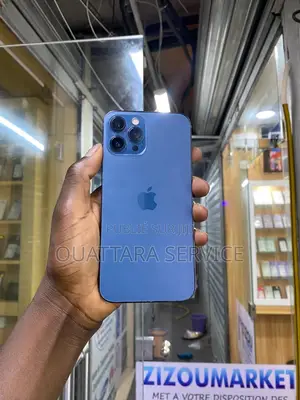 Neuf Apple iPhone 12 Pro Max 256 GB Gris