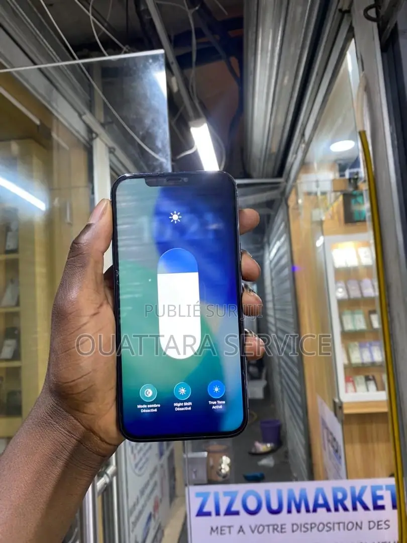 Neuf Apple iPhone 12 Pro Max 256 GB Gris