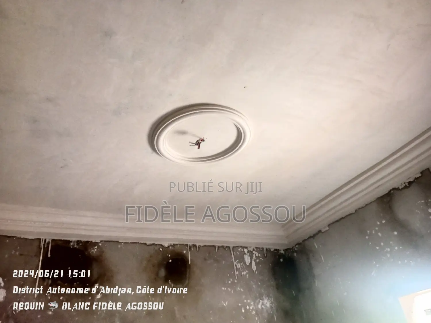 Staffeur Professionnel