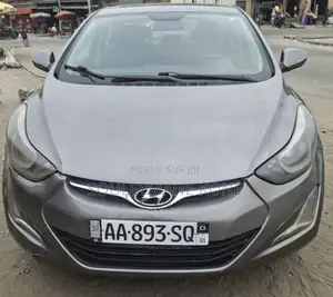 Hyundai Elantra 2016 Gris