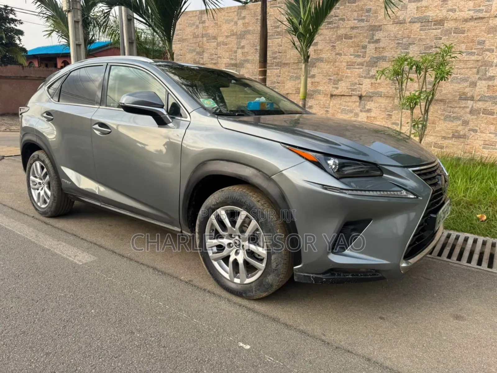 Lexus NX 300 AWD 2020 Gris