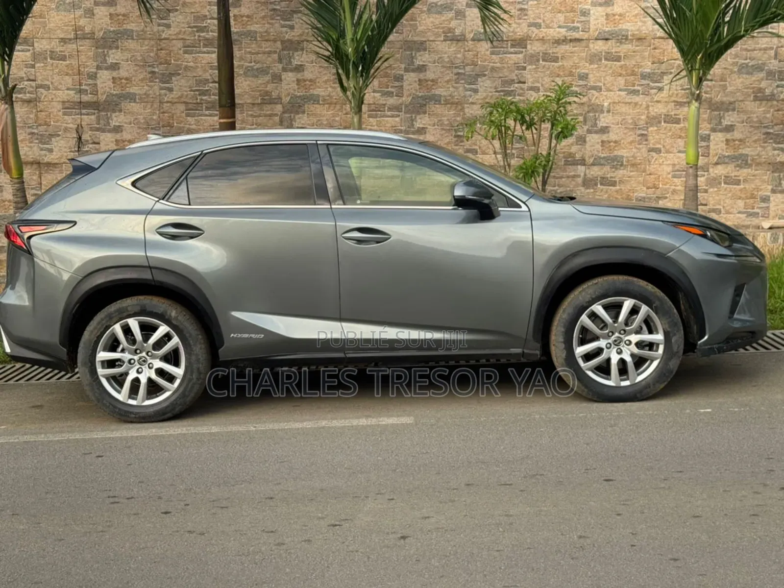 Lexus NX 300 AWD 2020 Gris