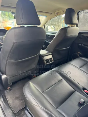 Lexus NX 300 AWD 2020 Gris