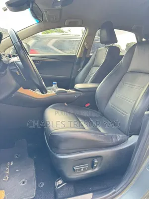 Lexus NX 300 AWD 2020 Gris